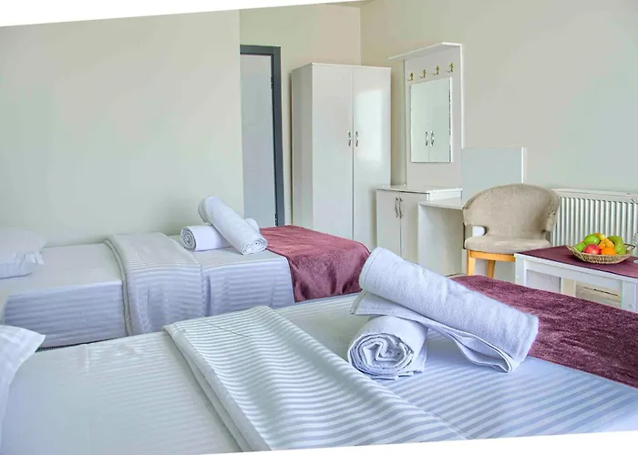 ホテル Hotel Yeniciftlik Yeniçiftlik