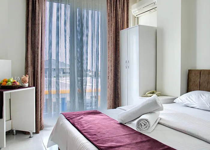 ホテル Hotel Yeniciftlik 2*